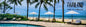 8859194818845_Life is a Beach (20pcs/pack)