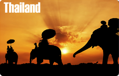 8854093005013_Elephant Silhouettes at Sunset (20pcs/pack)